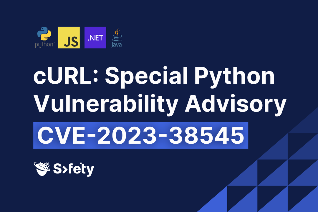 Safety Cybersecurity Safety Discovers ReDoS Vulnerabilities in Top
